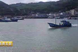 开海了！这些生猛海鲜“鲜”翻你的餐桌！价格几何？如何挑选？视频封面