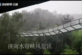 “利奇马”逼近山东发多个预警，青烟威风大浪急！各地雨情汇总看这里视频封面