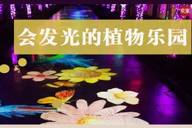 这座植物乐园有魔法？门票免费送，天黑请入场图片