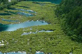 90秒航拍看九寨沟景区恢复情况 诺日朗瀑布重现盛景视频封面