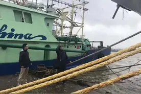 浙江农业迅速投入灾后自救 政策性农业保险理赔启动图片