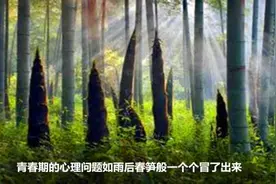 迷上手机不想读书，青春期叛逆父母束手无策，修复亲子关系是关键图片