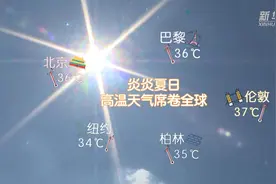 冰水、西瓜、冰激凌........动物们消暑美滋滋！视频封面