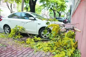 小Q说车丨汽车被雨水浸泡如何理赔？专家科普这样做更止损图片