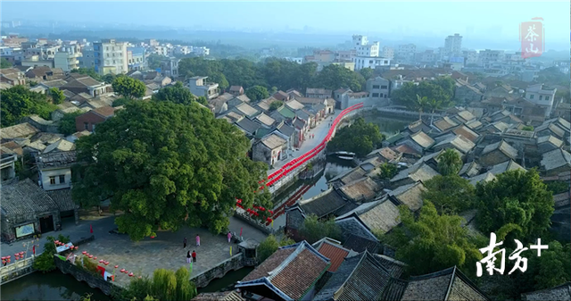 多图｜每一帧都美得窒息！4分钟宣传片展现茶山新形象