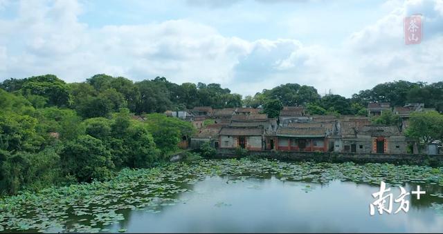 多图｜每一帧都美得窒息！4分钟宣传片展现茶山新形象