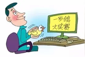 信鸽比赛生矛盾 双方动粗闹官司图片