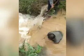 水库将决堤，村干部跳进泄洪口清理杂物视频封面