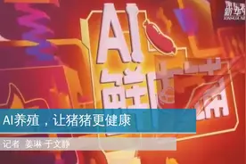 AI养殖，让猪猪更健康视频封面