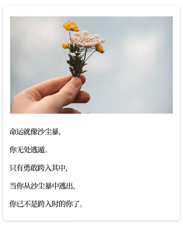 村上春树最经典的9句话，值得一读再读