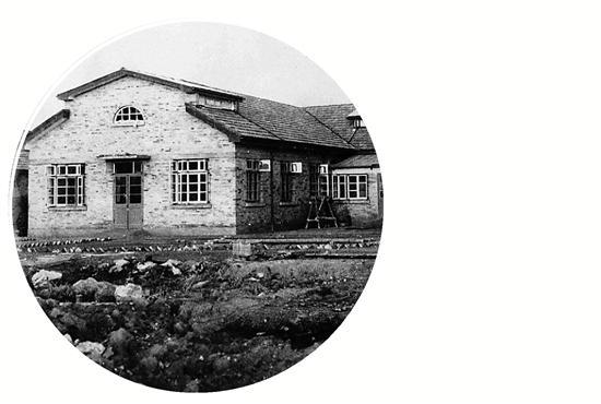 海力生深海鱼胶原蛋白怎么样 2026年海力生深海鱼油