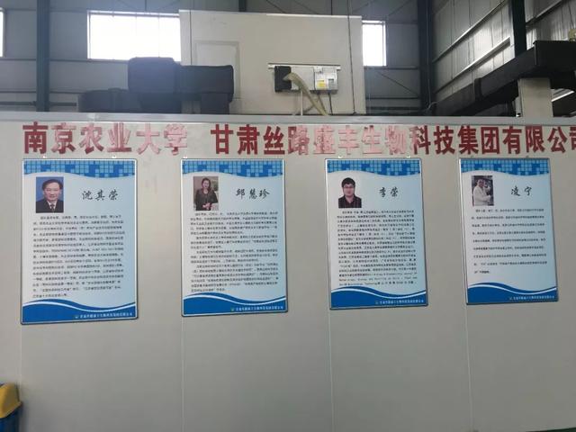 张志品和他的有机肥