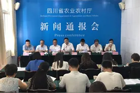 玉米、豆粕饲养畜禽比配合饲料更安全？专家解读：不一定！视频封面