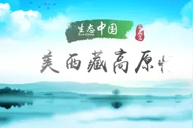 生态中国·醉美西藏高原情视频封面