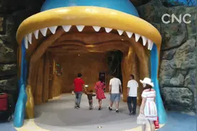 世界海拔最高海洋馆在西宁开馆视频封面