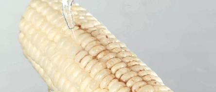 MOR的身体乳好用吗