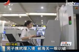 四川成都：男子携玳瑁入境 被海关一眼识破