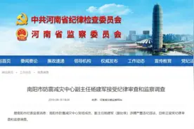 最新！南阳、商丘两名副处级干部被查图片