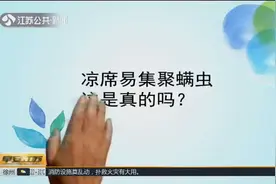 凉席容易集聚螨虫，这是真的吗？专家：真的，当心患上螨虫皮炎！视频封面