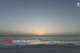 “生命禁区”罗布泊再现“碧波荡漾”视频封面