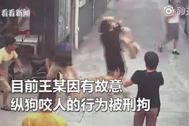 狗主人遛狗不栓绳还故意纵狗咬人，已被刑拘