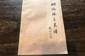 《二毛的老菜谱》第12期丨上世纪红遍上海的素菜餐厅，鲁迅也前去打卡视频封面
