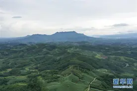 “十万大山”秋色美图片