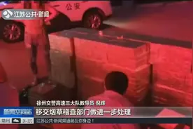 司机车内暗藏779条香烟，欲运回家卖，徐州民警服务区内将其截获视频封面