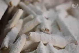 传统老手艺让人爱  尝尝江西黎川灌芯糖