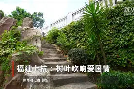 福建上杭：树叶吹响爱国情视频封面