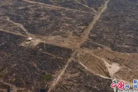 俯瞰亚马逊雨林火灾 浓烟滚滚满目苍夷图片