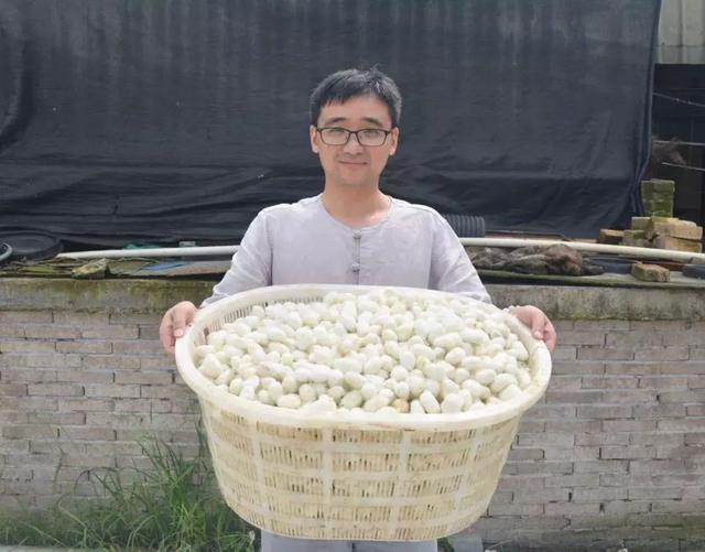 蚕丝被被曝光了！被子盖的不对，对身体有哪些危害，不知道的赶紧看看...