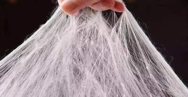 蚕丝被被曝光了！被子盖的不对，对身体有哪些危害，不知道的赶紧看看...