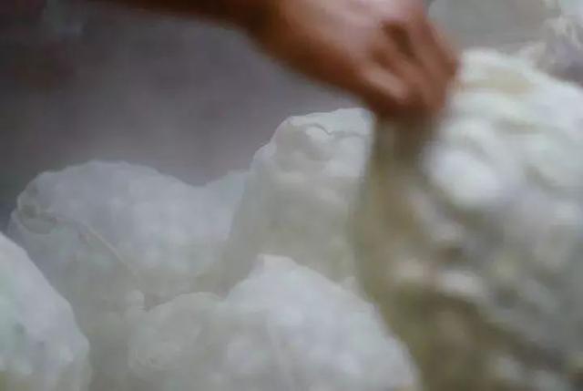 蚕丝被被曝光了！被子盖的不对，对身体有哪些危害，不知道的赶紧看看...