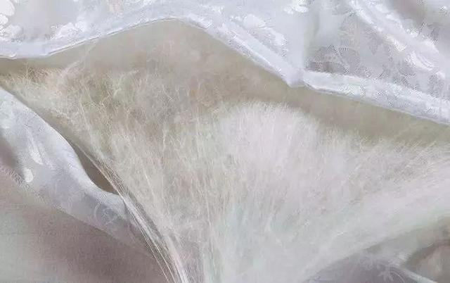 蚕丝被被曝光了！被子盖的不对，对身体有哪些危害，不知道的赶紧看看...