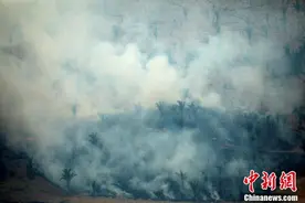 实拍巴西亚马逊雨林火灾 大火浓烟超百米图片