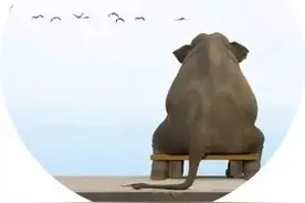 如果有人问你对象是谁图片
