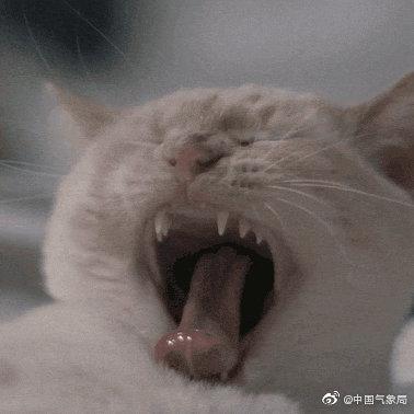 打哈欠为什么要传染?（打哈欠为什么会传染）