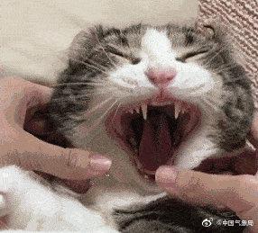 打哈欠为什么会传染？