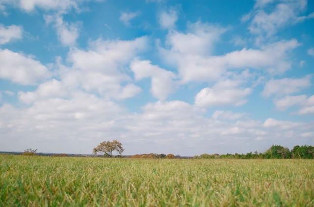 娲楀彂姘存湁鑹插彿锛熸坊鍔?0绉嶆皑鍩洪吀锛熻繖涓柊鍝佸お鏈夊唴瀹逛簡