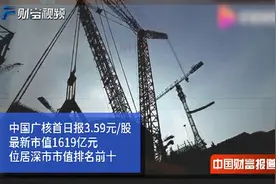 【中国财富报道】深市最大IPO 中国广核来了视频封面