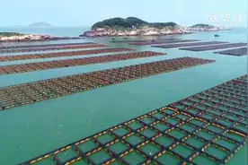 福建宁德：新型渔排重塑“海上渔城”视频封面