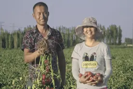 西红柿“首富”：以前饿肚子现在有田有粮视频封面