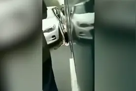 机动车道女司机突下车，被后方公交撞亡视频封面