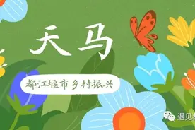 田园天马，不只是你看见的那一面~图片