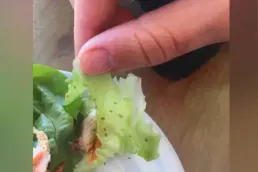 迪士尼最近有点烦：游客因食物中的虫子得病，索赔1.5万美元图片