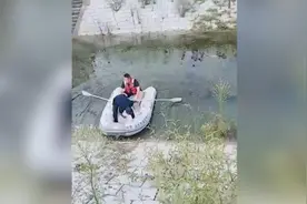 阜阳3名女童河边玩耍时溺水身亡视频封面