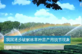 我国逐步破解林草种苗产用脱节现象视频封面