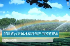 我国逐步破解林草种苗产用脱节现象视频封面