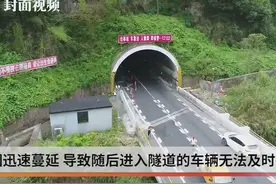 G15沈海高速猫狸岭隧道温州方向车道封闭施工 洞口可见施工工人